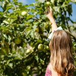 Виртуальное путешествие за небесными сокровищами в облаках