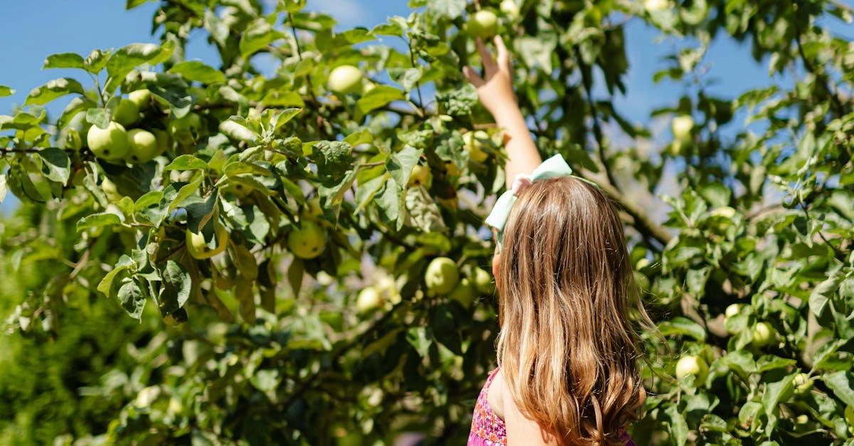 Виртуальное путешествие за небесными сокровищами в облаках